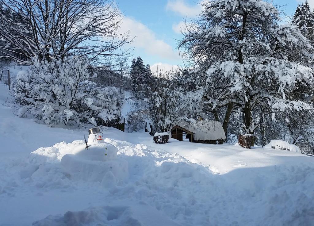 Zuwaelder Stueble Hotel Oberharmersbach Buitenkant foto